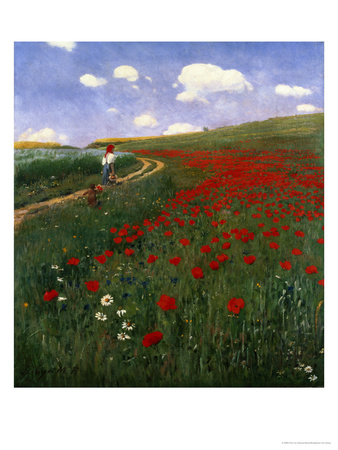 The Poppy Field