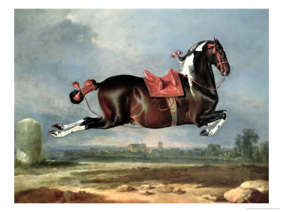 The Piebald Horse "Cehero" Rearing