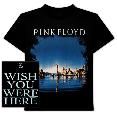 Pink Floyd - Diver