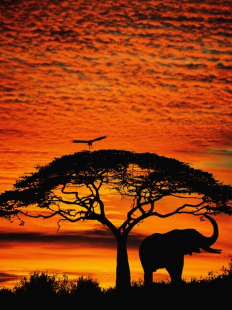 Afrika deko für das wohnzimmer wohnzimmer afrikanisch dekorieren