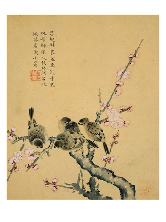 Plum Blossoms and Sparrows