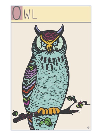 Owl