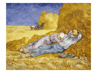 Noon: Rest
