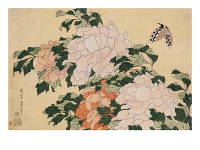 Pink and Red Peonies Blown to the Left in a Breeze and a Butterfly