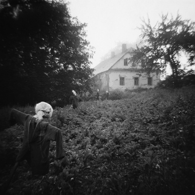 Scarecrows in a Small Vegetable Garden