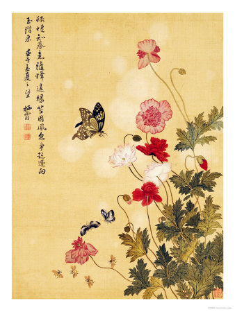 Corn Poppy and Butterflies, 1702