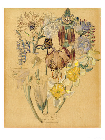 Mont Louis, Flower Study, 1925