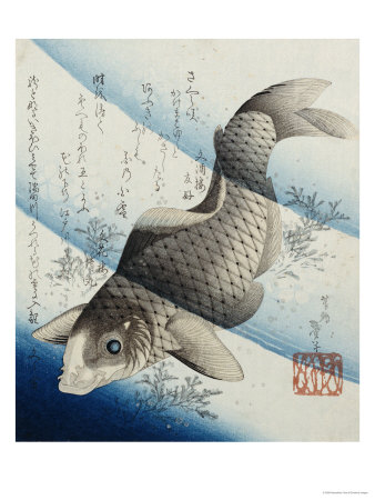 Carp Among Aquatic Leaves
