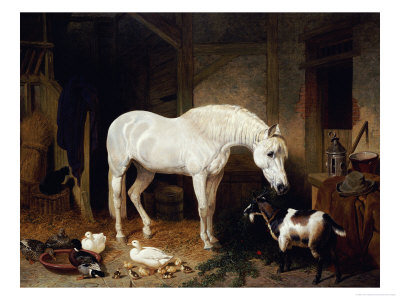 Stable Companions