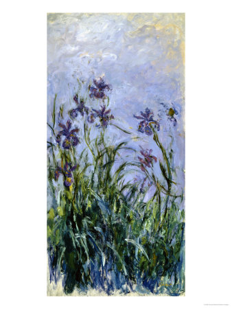 Buy Iris Mauves, 1914-1917 at AllPosters.com