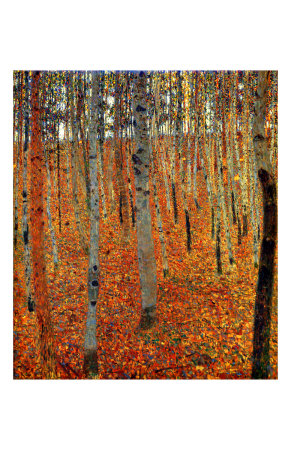 Beach Forest