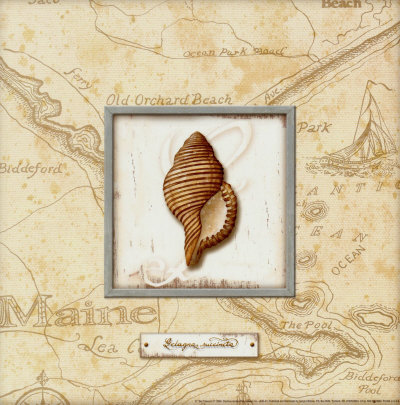 Sea Treasure IV