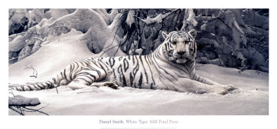 White Tiger