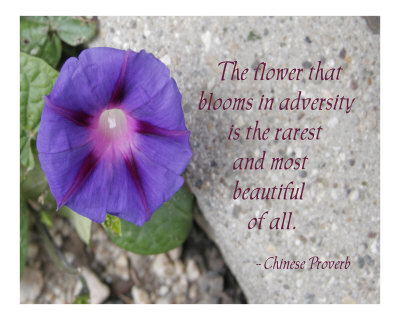Adversity