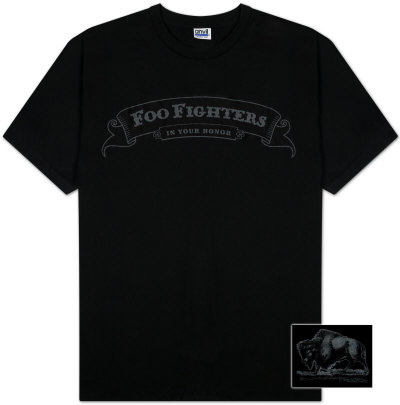 Foo Fighters - Buffalo Banner