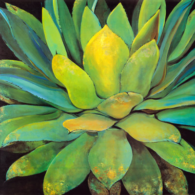 Agave