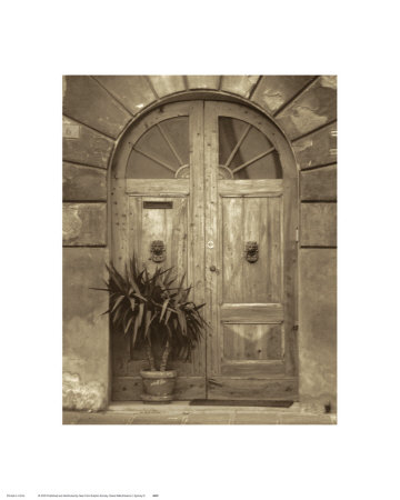 Grande Villa Entrance I Art Print