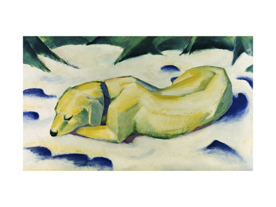 Dog Lying in the Snow