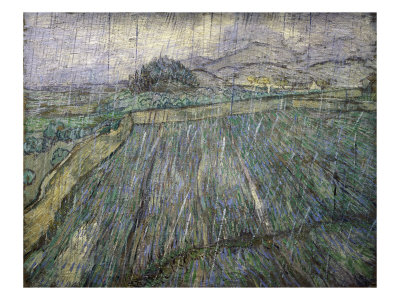 The Storm