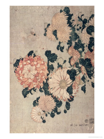 Chrysanthemums