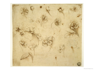 Buy Study of Flowers at AllPosters.com