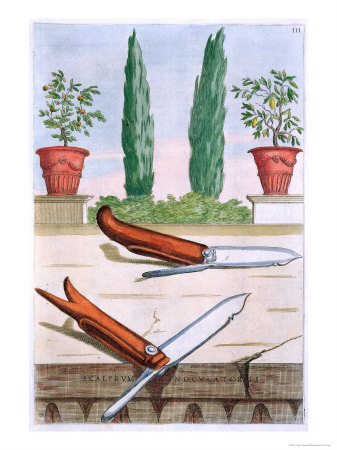 Gardening Knife, from "Hesperides" by Giovanni Battista Ferrari