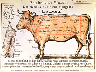 Beef: Diagram Depicting the Different Cuts of Meat