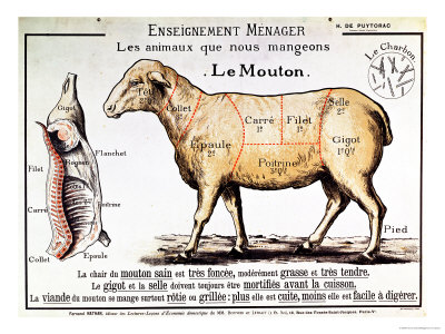 Mutton: Diagram Depicting the Different Cuts of Meat
