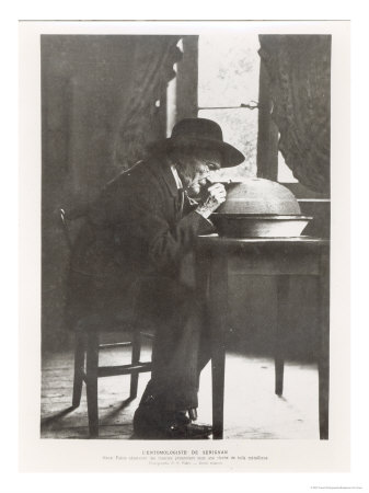 Jean-Henri Fabre Observing Insects, from "Souvenirs Entomologiques," Published in 1924