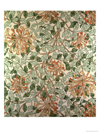 Honeysuckle II
