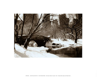 Buy Central Park, Bridge at AllPosters.com