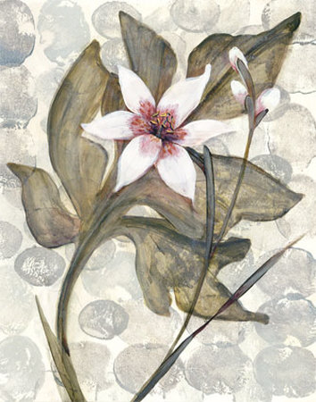 Buy Amazonia IV at AllPosters.com