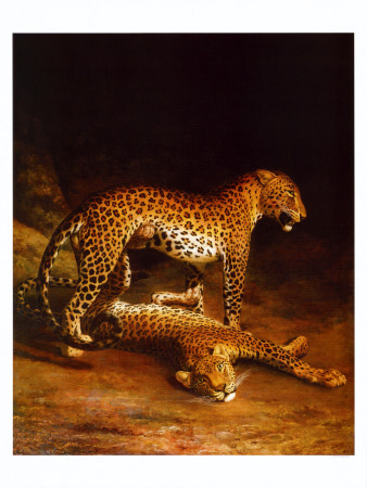 Two Leopards Playing in the Exeter Change Menagerie, c.1808