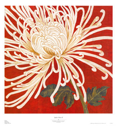 Spider Mum II