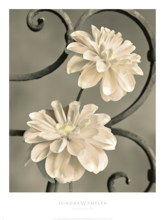Buy Iron Trellis IV at AllPosters.com