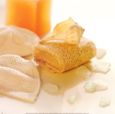 Buy Vanilla Bean at AllPosters.com