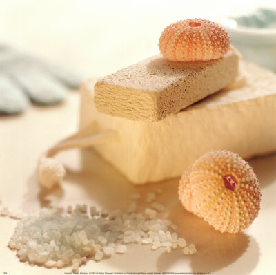Buy Ginger at AllPosters.com