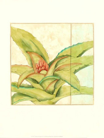 Tropicana Botanical IV