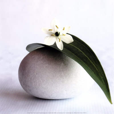 Flower and Pebble