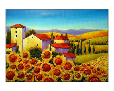 Tuscan Houses and Sunflowers Field Near Marina di Pisa