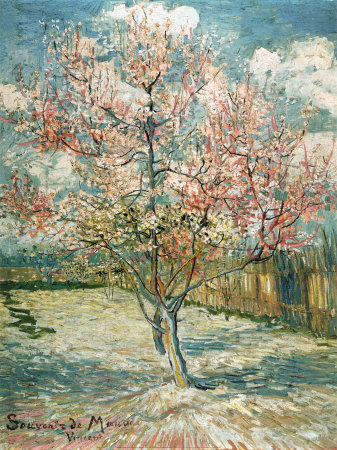 Buy Peach Tree in Bloom at Arles, c.1888 at AllPosters.com