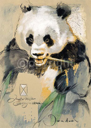 Wildlife Panda