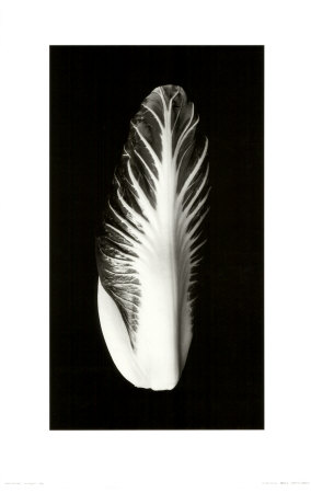 Buy Out of Sight IV, c.2000 at AllPosters.com