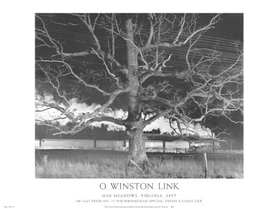 NW 1643 Train No. 17 The Birmingham Special Passes a Giant Oak, Max Meadows, Virginia, c.1957