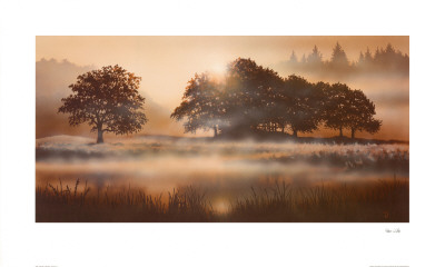 Rural Study II
