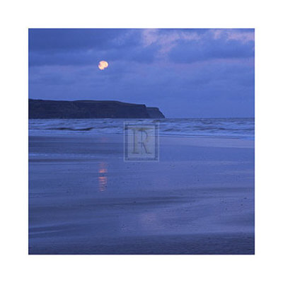 Buy Moon and Beach at AllPosters.com