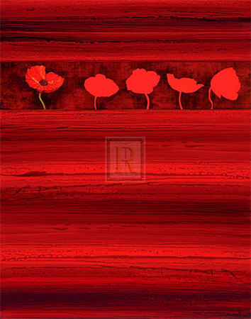 Red Passion