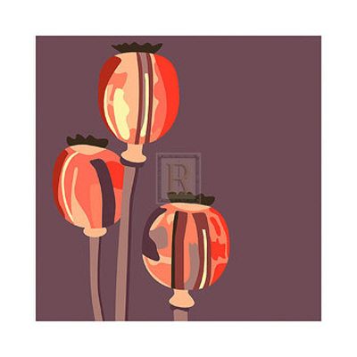 Poppy Pods