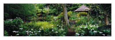Buy Ayrlies at AllPosters.com