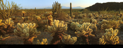Buy Sonora at AllPosters.com
